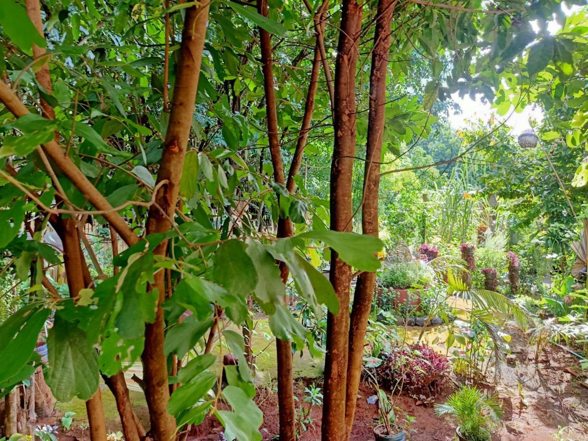 Tribal Village Homestay & Trekking Banlung Kültér fotó