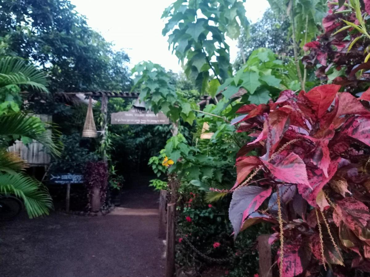 Tribal Village Homestay & Trekking Banlung Kültér fotó